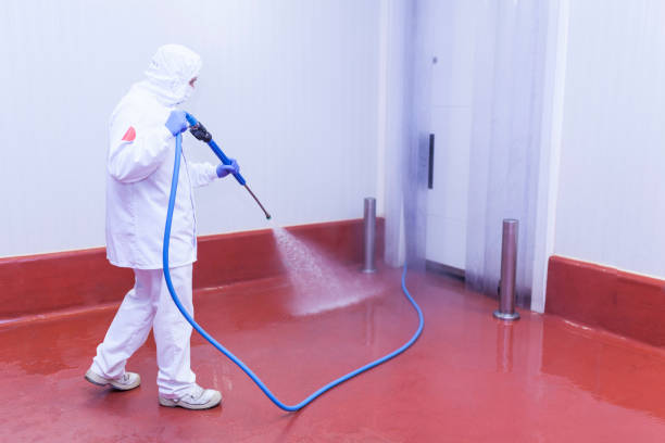 Best Roof Washing  in La Vergne, TN