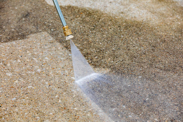Best Gutter Cleaning  in La Vergne, TN